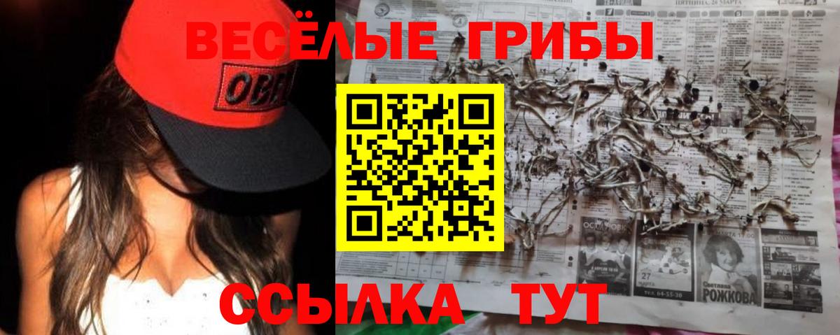 Псилоцибиновые грибы Cubensis Северск